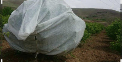 کاور ضد سرما