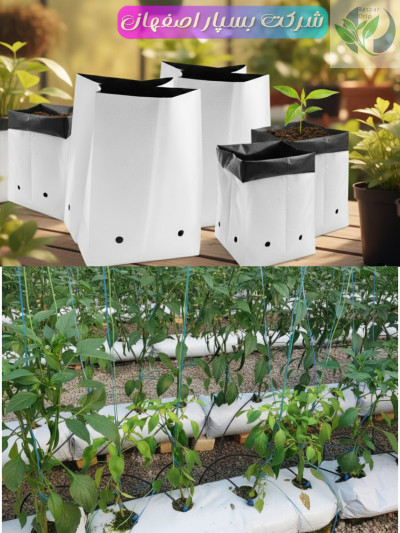 کیسه کشت گروبگ شرکت بسپار