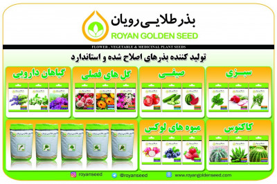 بذر سبزی، صیفی و گلهای فصلی