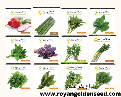 بذر سبزی، صیفی و گلهای فصلی