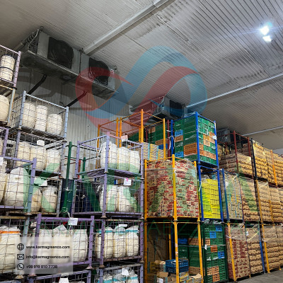 سردخانه آمونیاکی و فریونی | ساخت، نصب و نگهداری