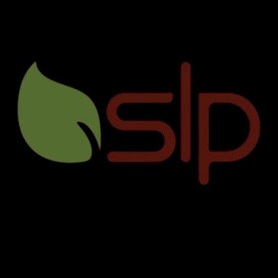 واردات و توزیع بلبرینگ SLP خودرویی صنعتی کشاورزی 