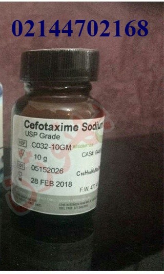 فروش آنتی بیوتیک سفوتاکسیم سدیم سالت     Cefotaxime sodium s
