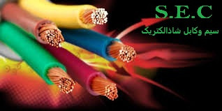 ارزان ترین قیمت خرطومی رااز شاذالکتریک بخرید  