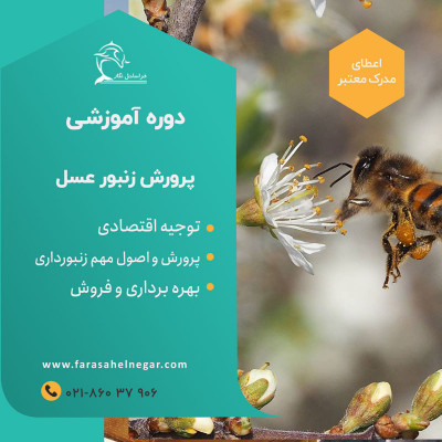 دوره آموزشی تولید عسل ارگانیک