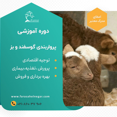 تولید و پرورش و پرواربندی گوسفند و بز گوشتی