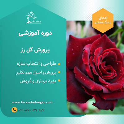 کارگاه آموزشی رز شاخه بریده