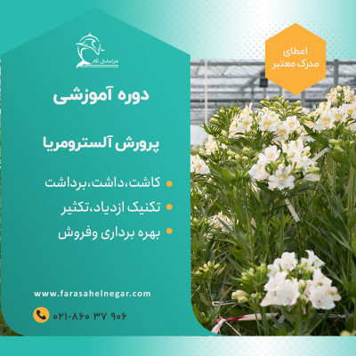 دوره آموزشی آلسترومریا