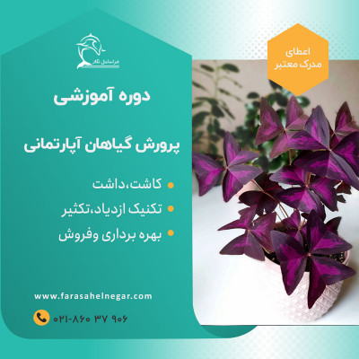 دوره آموزشی گیاهان آپارتمانی حضوری و مجازی با مدرک