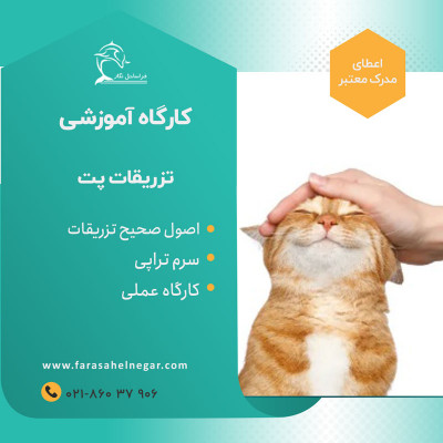 آموزش کاربردی ویژه علاقمندان به پرستاری پت