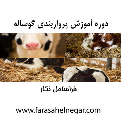 دوره تخصصی پرواربندی گوساله