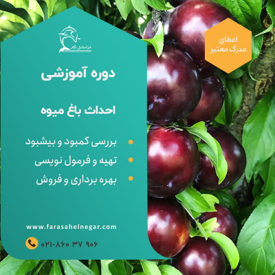 🌳 آموزش تخصصی احداث و ترمیم باغات میوه 🍎🍐