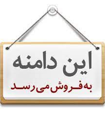 فروش دامنه سایت 