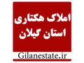 املاک هکتاری در استان گیلان بدون واسطه - باغ کیوی هکتاری