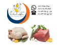 تامین و عرضه گوشت منجمد برزیلی و مرغ سابین تجارت - سنگ برزیلی