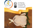 تامین و عرضه گوشت مرغ تازه سابین  - تازه های فن آوری