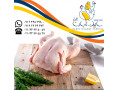 Icon for عرضه گوشت مرغ منجمد برزیلی سابین تجارت