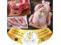 Icon for تامین و عرضه انواع گوشت طیور سابین تجارت