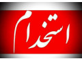 Icon for استخدام نیروی فنی