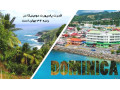 پاسپورت دومینیکا - چاپ روی پاسپورت