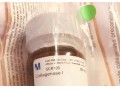 collagenase scr 103 merck  - merck in iran