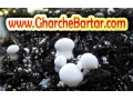 کمپوست قارچ خاک پوششی قارچ بذر قارچ دکمه  - دکمه لباس خط تولید