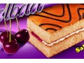 Icon for فروش خط کامل تولید کیک تی تاب و کیک رولتی 