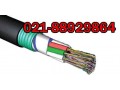عمده فروش کابل فیبرنوری نگزانس با ضمانت تست ( ستاره3 ) - فیبرنوری fiber optic