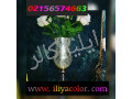 Icon for اجرای تخصصی فانتاکروم /درخشش کروم روی انواع متریال