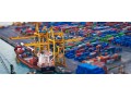 صادرات وواردات شرکت مکران جنوب - چوب مرکبات جنوب
