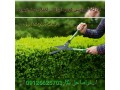 AD is: دوره آموزشی هرس گیاهان فضای سبز