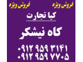 Icon for فروش کاه نیشکر