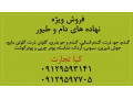 فروش جو ، ذرت ، گندم ، سبوس جو ، سبوس گندم ، سبوس ذرت ، 