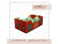 Icon for کارتن هندوانه صادراتی، باکس پالت هندوانه،  لیبل هندوانه
