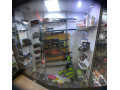 خرید و فروش انواع تفنگ بادی کالیبر 5.5 نو و پلمپ - تفنگ میخکوب