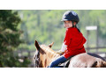 آموزش اسب برای کودکان درتبریز