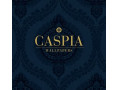 آلبوم کاغذ دیواری کاسپیا CASPIA