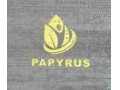 Icon for آلبوم کاغذ دیواری پاپیروس PAPYRUS