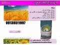 قیمت خرید کود سولفات منیزیم