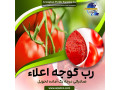 Icon for رب گوجه فرنگی صادراتی