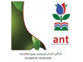 کود ANT TURKEY