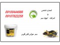 Icon for قویترین سم برای کشتن موش/سم موش کش کاپوت
