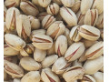 فروش انواع پسته جهت صادارت