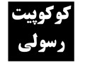 Icon for انواع کوکوپیت خارجی و ایرانی