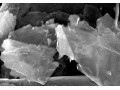 Graphene Nanopowder,Graphene Nanopowder,Nano Graphene Nanopowder,نانو گرافن نانو پودر فروش و نماینده رسمی واردات مستقیم نانو گرافن در ایران Graphene  - Nano Station 2 NS2