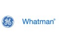 Icon for لیست قیمت محصولات واتمن انگلستان تا تاریخ 91.6.31