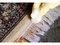 شستن قالی,قالیشویی,مبلشویی تخصصی - قالی بافی تبریز
