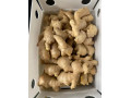 واردات و فروش زنجبیل (Ginger) تازه و خشک بصورت تناژ - زنجبیل چینی