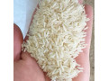 برنج هاشمی ممتاز آستانه اشرفیه 