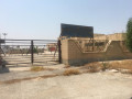 فروش کارخانه کنسرو تن ماهی